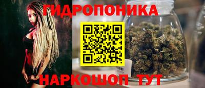 амф Кунгур