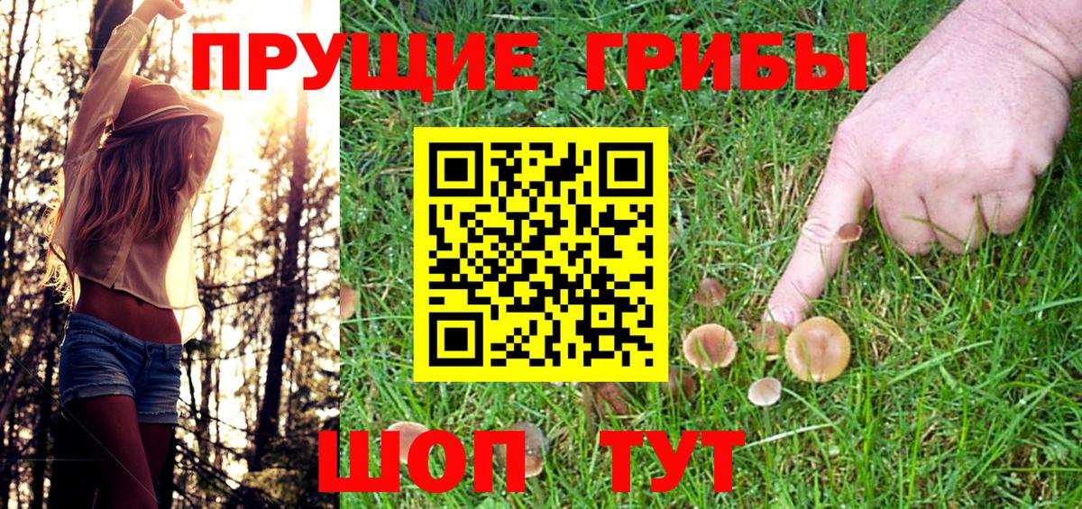 Псилоцибиновые грибы Psilocybine cubensis Зерноград